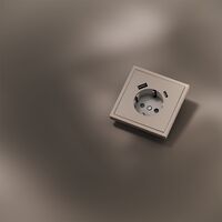 Накладка для розетки с заземлением и защитными шторками, с USB A+C S70 Metal (платина) / Voltum VLSM001010
