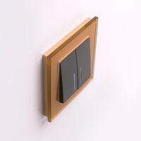 Рамка на 1 пост (бронзовый, Favorit) / WL01-Frame-01
