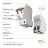 Автоматический выключатель 2P 10 A C 4,5 kА / W902P104
