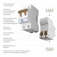 Автоматический выключатель 2P 40 A C 6 кА / W902P406