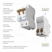 Автоматический выключатель 2P 63 A C 4,5 кА / W902P634