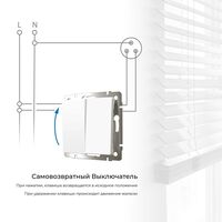 Выключатель двухклавишный с самовозвратом (белый матовый) / W1122461
