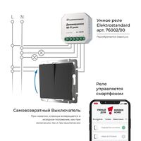 Выключатель двухклавишный с самовозвратом (черный матовый) / W1122408