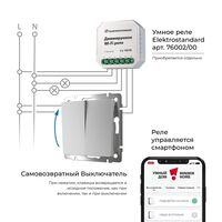 Выключатель двухклавишный с самовозвратом (серебряный) / W1122406