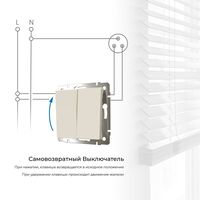 Выключатель двухклавишный с самовозвратом (слоновая кость) / W1122403