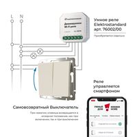 Выключатель двухклавишный с самовозвратом (слоновая кость) / W1122403