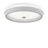 Потолочный светильник Freya Cells FR10012CL-L24W