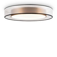 Потолочный светильник Freya Zoticus FR6005CL-L48G
