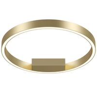 Потолочный светильник Maytoni Rim MOD058CL-L25BS4K