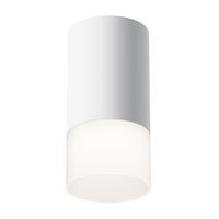 Потолочный светильник Pauline GU10 1x10Вт / Maytoni C007CW-01W