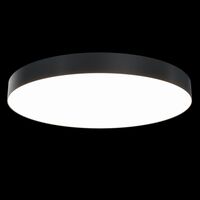 Потолочный светильник Maytoni Zon C032CL-L96B3K
