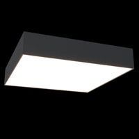 Потолочный светильник Maytoni Zon C067CL-L40B4K
