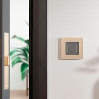 Рамка на 1 пост (шампань, AluMax) / Werkel W0013511