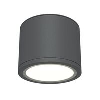 Потолочный светильник Rendo GX53 12Вт IP44 / Maytoni C095CL-GX53-GR