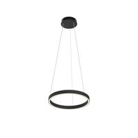Подвесной светильник Maytoni Rim MOD058PL-L22BK