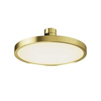 Трековый светильник Plato Flarity 3000K 10Вт 120° / Maytoni TR153-1-10W3K-BS