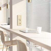 Рамка на 3 поста (шампань, AluMax) / Werkel W0033511