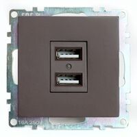 Розетка USB тип A Катрин (шоколад) / Stekker GLS10-7115-04