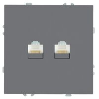 Розетка компьютерная RJ-45 двойная Эмили (платиново-серый) / Stekker RST00-5111-10