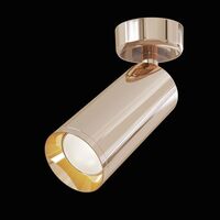 Потолочный светильник Focus 1x50Вт GU10 / Maytoni C017CW-01RG