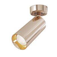 Потолочный светильник Focus 1x50Вт GU10 / Maytoni C017CW-01RG