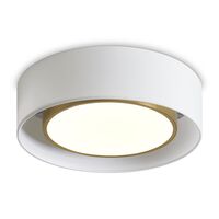Потолочный светильник Freya Cozy FR6170CL-L52BS