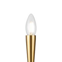 Настенный светильник (бра) Freya Branches FR5253WL-02BS
