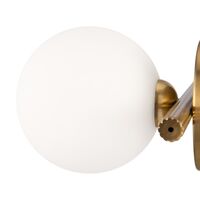 Настенный светильник (бра) Freya Blossom FR5259WL-01BS