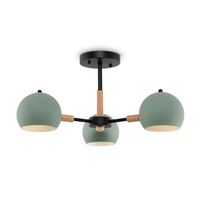 Потолочный светильник Freya Trisha FR5032CL-03B