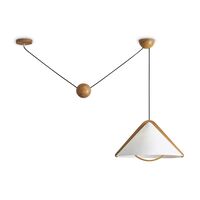 Потолочный светильник Freya Umbra FR5554CL-01T