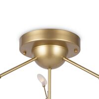 Потолочный светильник Freya Florencia FR5049CL-36G