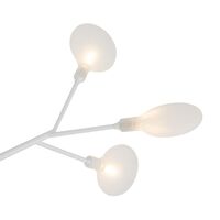 Потолочный светильник Freya Florencia FR5049CL-36W1