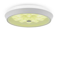 Потолочный светильник Freya Cells FR10012CL-L24W