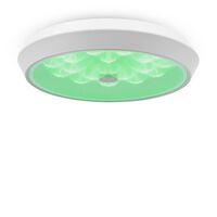 Потолочный светильник Freya Cells FR10012CL-L24W
