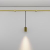 Светильник Focus Led для штанговой системы освещения Axity 3000-6000К 3Вт 36° / Maytoni C105PL-3W3-6K-BS