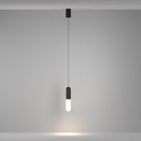 Подвесной светильник Mist 3000К 12Вт 125° / Maytoni P101PL-L300-12W3K-B