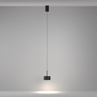 Подвесной светильник Glare 4000К 12Вт 120° / Maytoni P102PL-12W4K-B