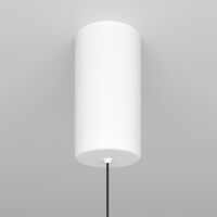 Подвесной светильник Ray 3000К 20Вт 360° / Maytoni P022PL-L20W3K
