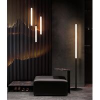 Подвесной светильник Ray 1x10Вт 3000K 360° / Maytoni P021PL-L10B