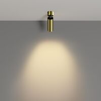Потолочный светильник FOCUS LED 2700K 12Вт 50° / Maytoni C055CL-L12W2.7K-W-BS