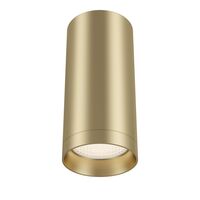 Потолочный светильник Focus GU10 1x10Вт / Maytoni C010CL-01MG