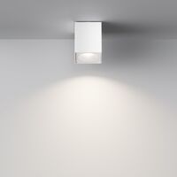 Потолочный светильник Zoom GU10 1x10Вт IP 65 / Maytoni C030CL-01W