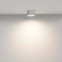 Потолочный светильник Zon 3000K 12W 120° / Maytoni C032CL-12W3K-RD-W