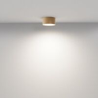 Потолочный светильник Zon 4000K 12W 120° / Maytoni C032CL-12W4K-RD-MG