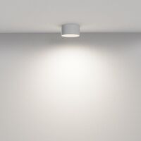 Потолочный светильник Zon 4000K 12W 120° / Maytoni C032CL-12W4K-RD-W