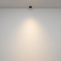 Потолочный светильник Rendo GX53 12Вт IP44 / Maytoni C095CL-GX53-B