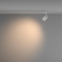 Трековый светильник Vuoro Unity 3000K 10Вт 60° / Maytoni TR003-1-10W3K-W-W