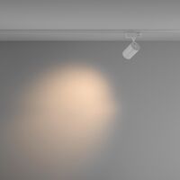 Трековый светильник Vuoro Trinity 3000K 10Вт 36° / Maytoni TR029-3-10W3K-M-W