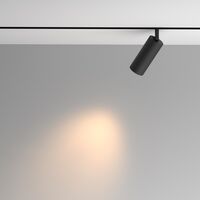 Трековый светильник Artisan Exility 3000K 12Вт 36° / Maytoni TR097-2-12W3K-M-BB