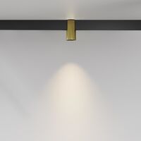 Трековый светильник Alfa Exility 3000K 7Вт 50° / Maytoni TR122-2-7W3K-BS